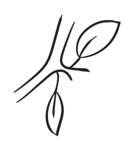 桃花简笔画