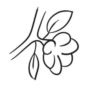桃花简笔画