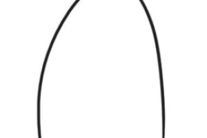 面包树简笔画