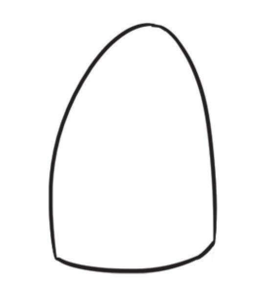 面包树简笔画