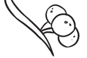 银杏简笔画