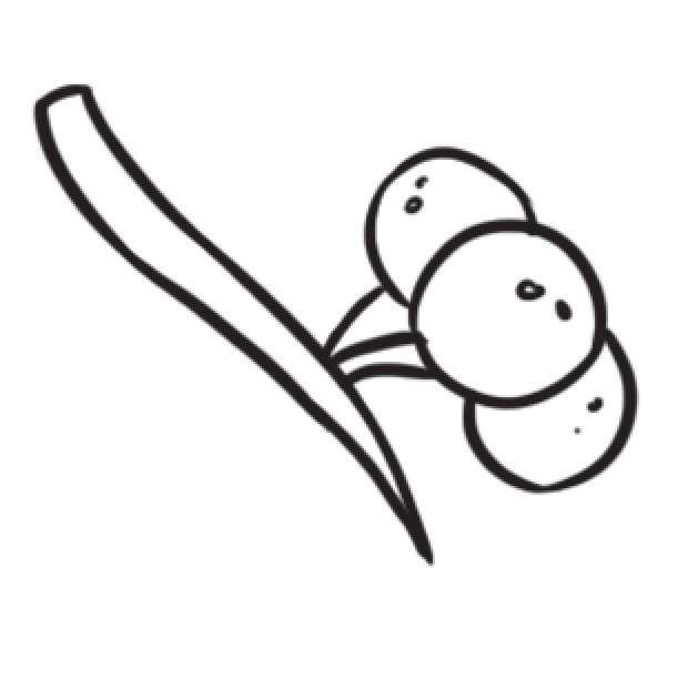 银杏简笔画