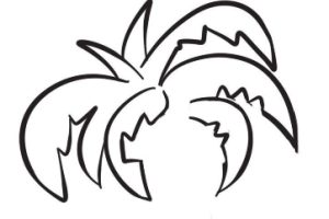 椰子树简笔画