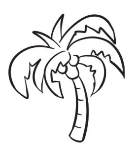 椰子树简笔画