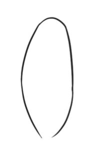 芭蕉树简笔画