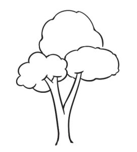 灌木简笔画