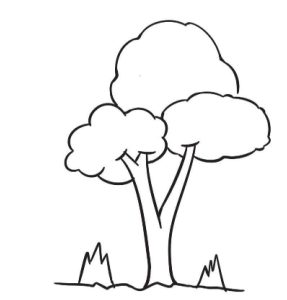 灌木简笔画
