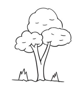 灌木简笔画
