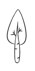 灌木简笔画