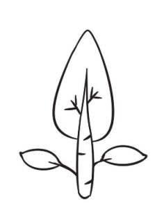 灌木简笔画