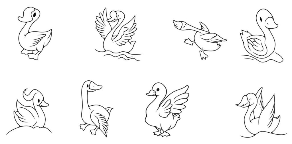 天鹅简笔画