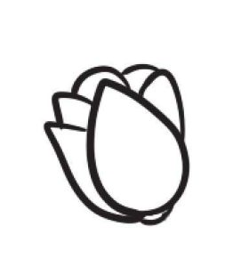 花卉简笔画