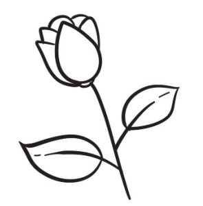 花卉简笔画