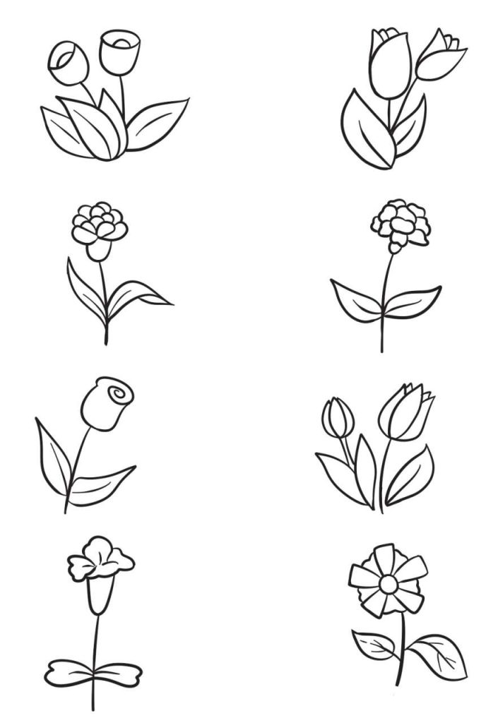 花卉简笔画