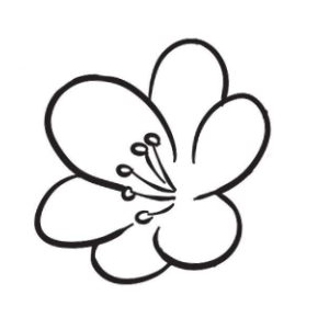 花卉简笔画