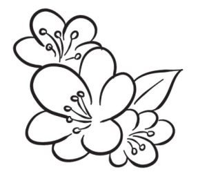 花卉简笔画