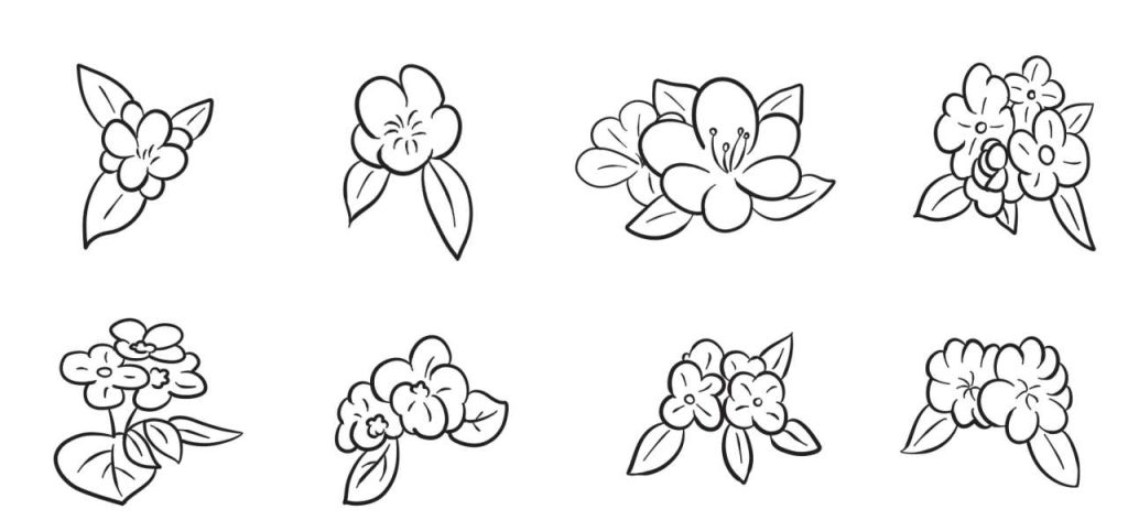 花卉简笔画