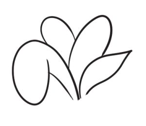 盆栽简笔画