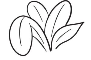 盆栽简笔画