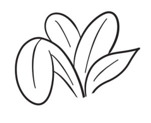 盆栽简笔画