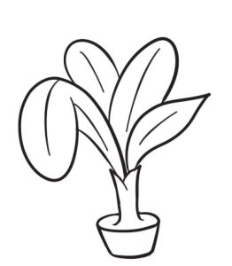 盆栽简笔画