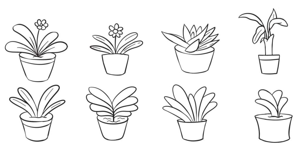 盆栽简笔画