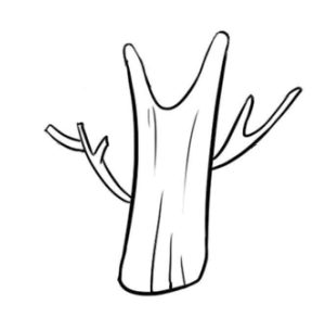 大树简笔画