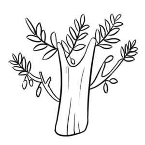 大树简笔画