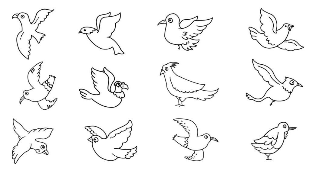 鸽子简笔画