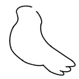 鸽子简笔画