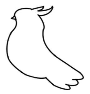 鸽子简笔画