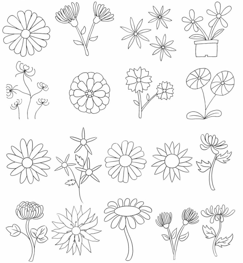 菊花简笔画