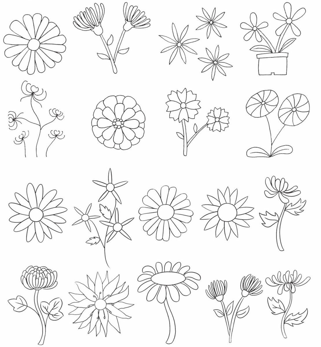 菊花简笔画