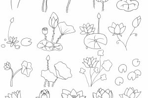 荷花简笔画