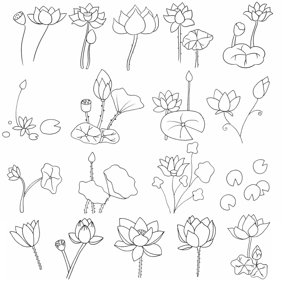 荷花简笔画
