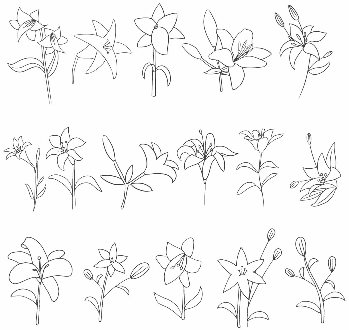 百合简笔画