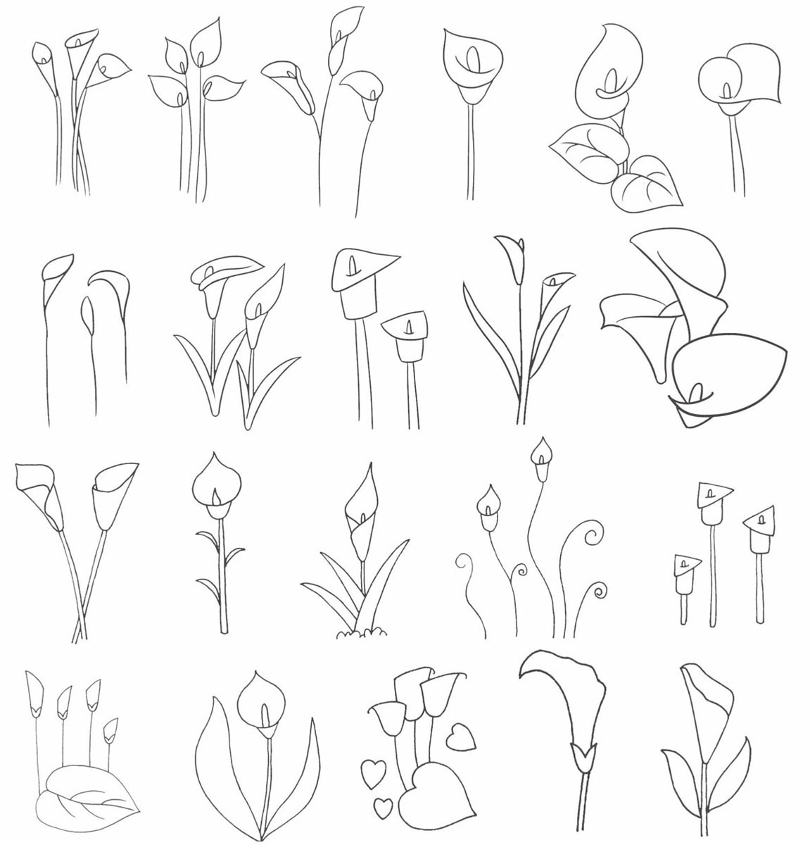 马蹄莲简笔画