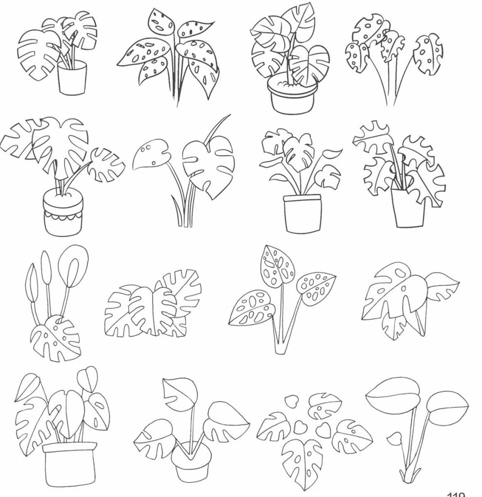 龟背竹简笔画