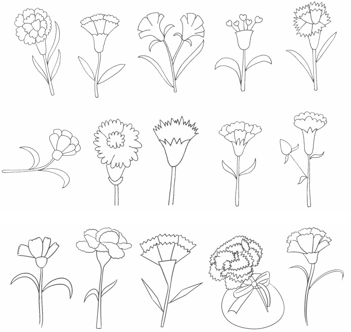 康乃馨简笔画
