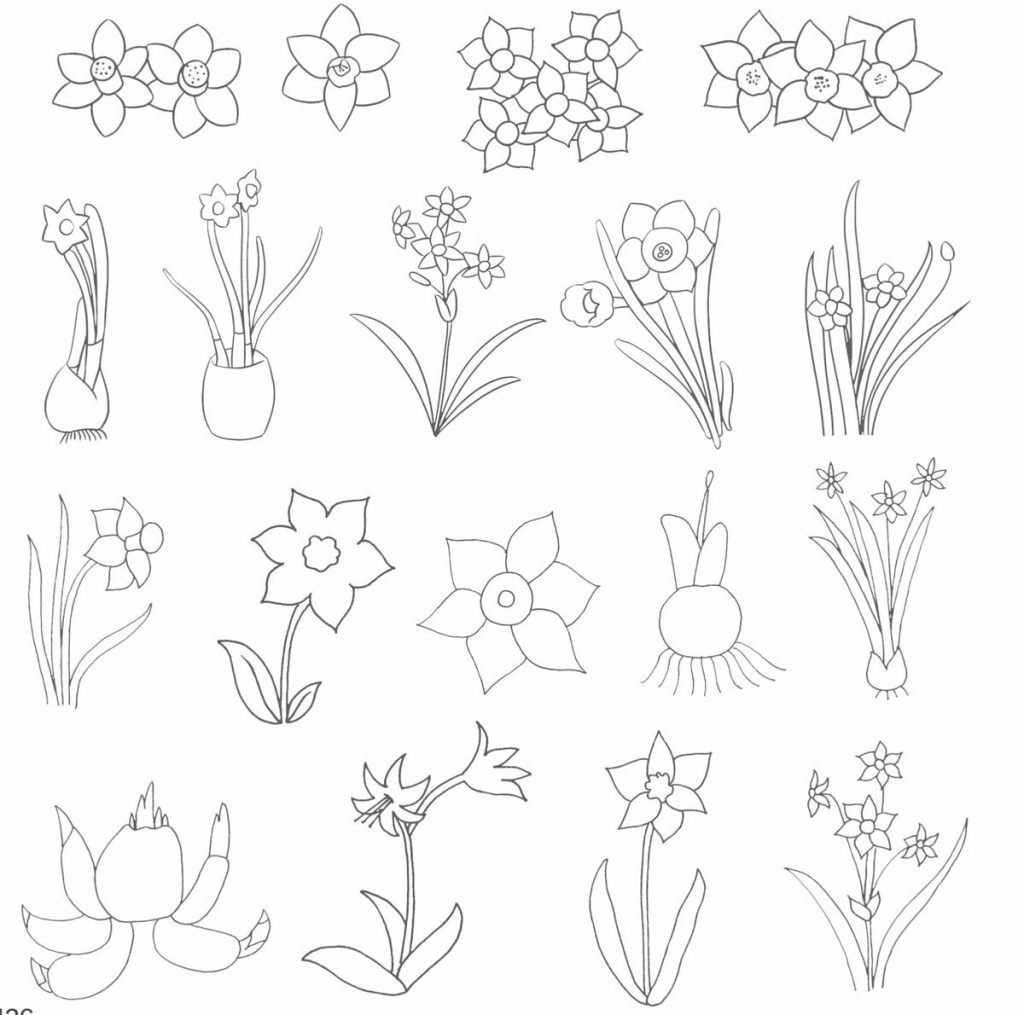 水仙花简笔画