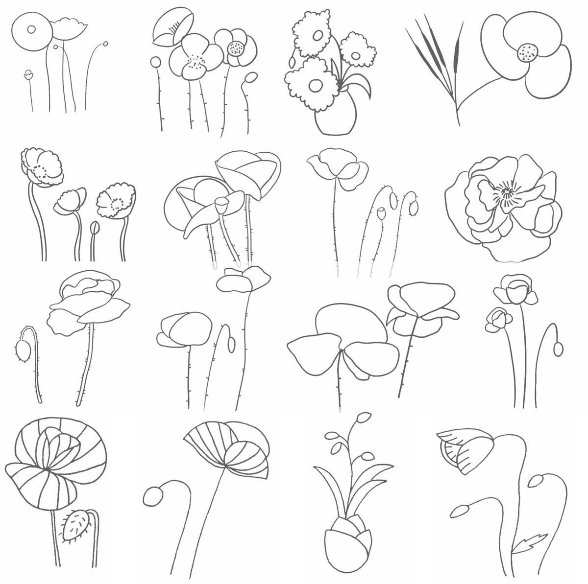虞美人简笔画