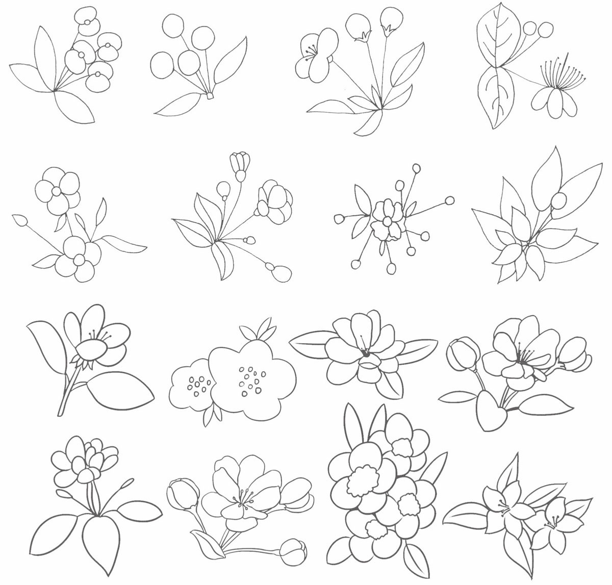 海棠简笔画