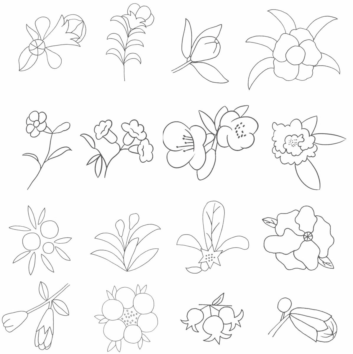 石榴花简笔画