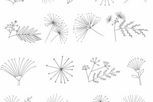 合欢花简笔画