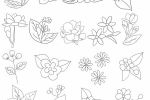 茉莉花简笔画
