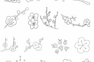 梅花简笔画