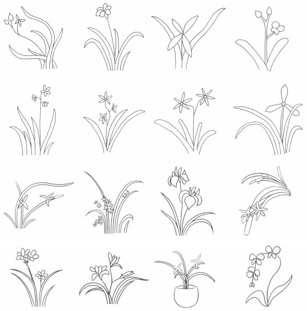 兰花简笔画