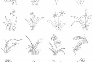 兰花简笔画