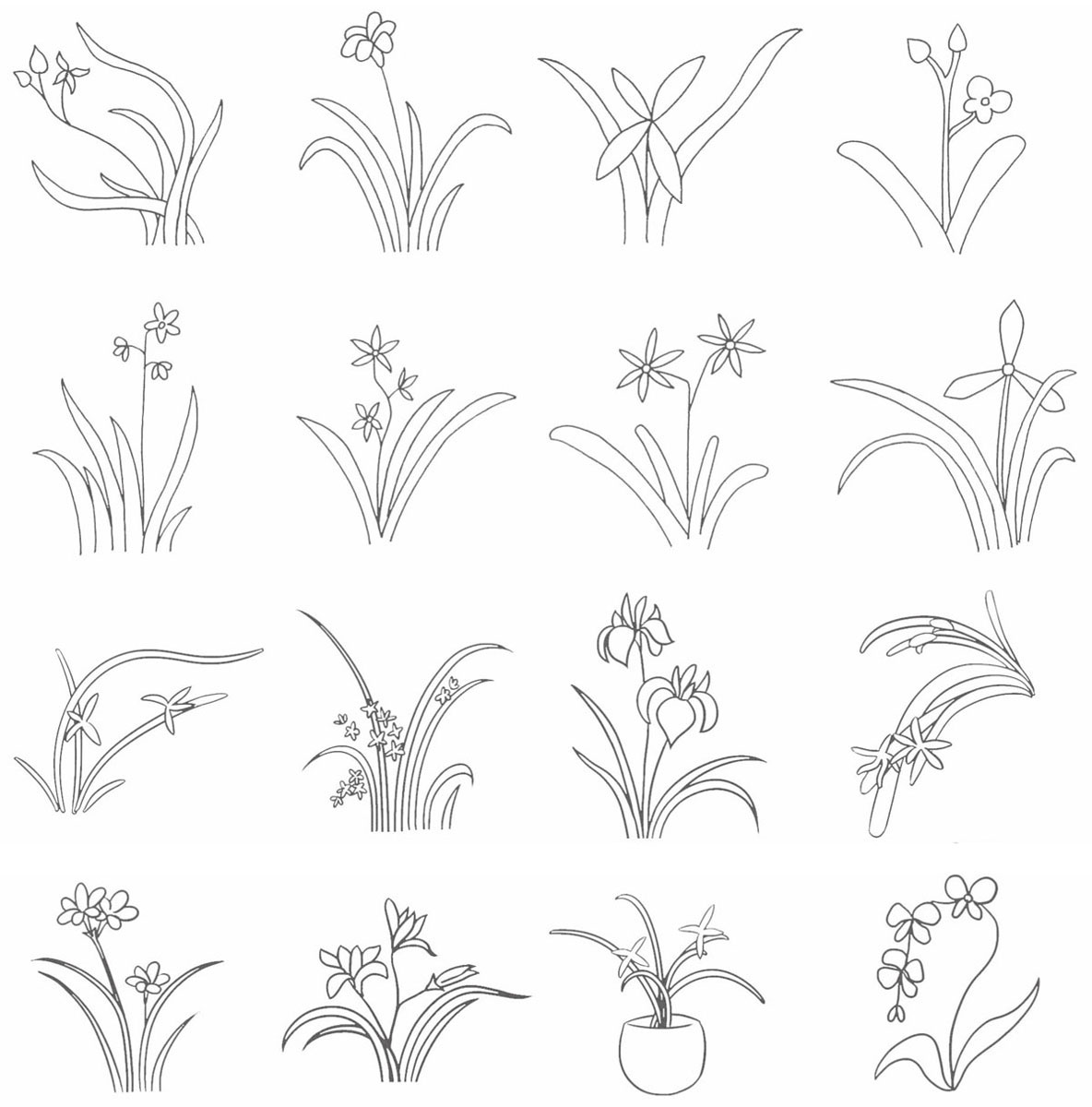 兰花简笔画