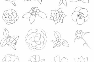 山茶花简笔画